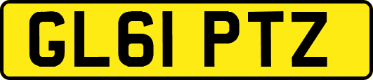GL61PTZ