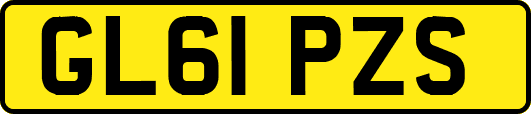 GL61PZS
