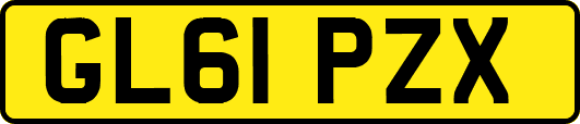 GL61PZX