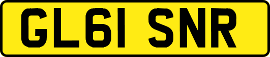 GL61SNR