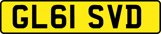 GL61SVD