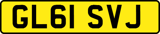 GL61SVJ
