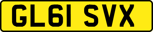 GL61SVX