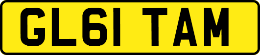 GL61TAM
