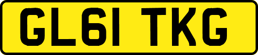 GL61TKG