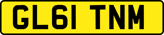 GL61TNM