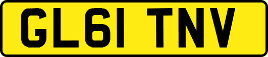 GL61TNV