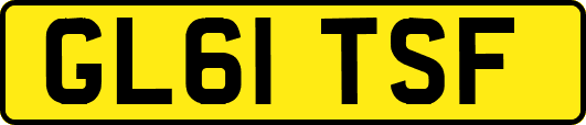 GL61TSF