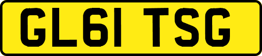 GL61TSG