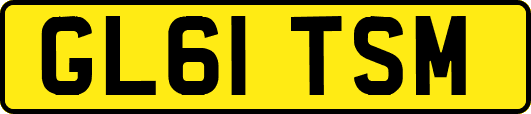 GL61TSM
