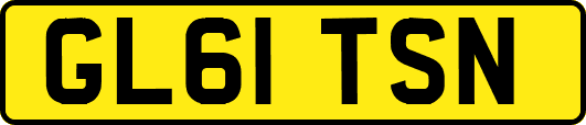 GL61TSN