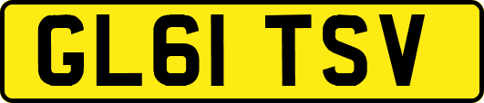 GL61TSV