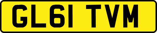 GL61TVM