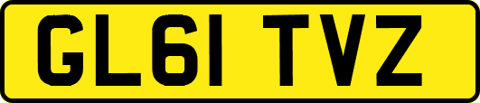 GL61TVZ