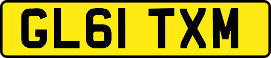 GL61TXM