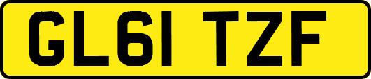 GL61TZF