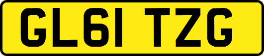GL61TZG