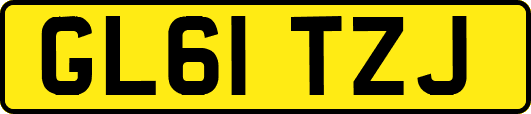 GL61TZJ