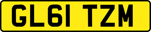 GL61TZM