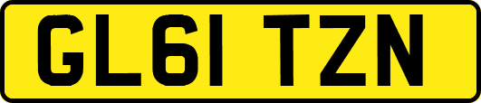 GL61TZN