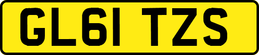 GL61TZS