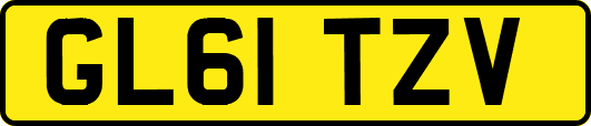GL61TZV
