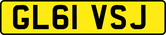 GL61VSJ