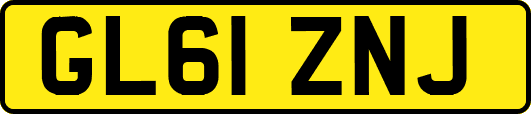 GL61ZNJ