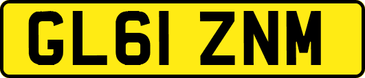 GL61ZNM