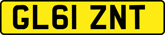 GL61ZNT