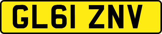 GL61ZNV