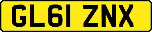 GL61ZNX