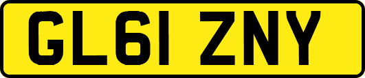 GL61ZNY
