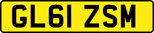 GL61ZSM