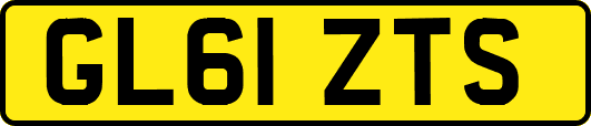 GL61ZTS
