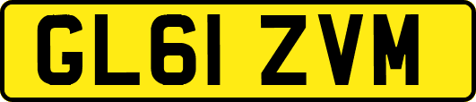 GL61ZVM