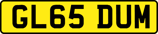 GL65DUM