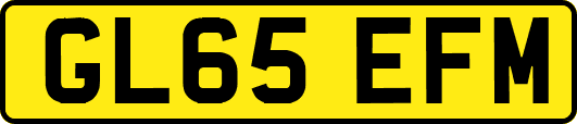GL65EFM