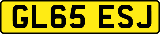 GL65ESJ