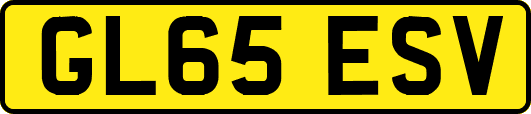GL65ESV
