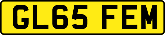 GL65FEM