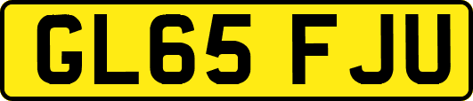 GL65FJU