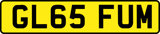 GL65FUM