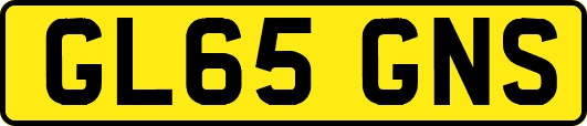 GL65GNS