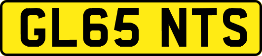 GL65NTS
