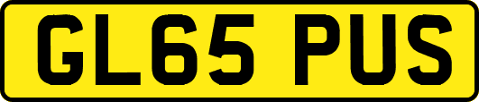 GL65PUS