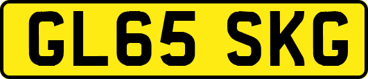GL65SKG