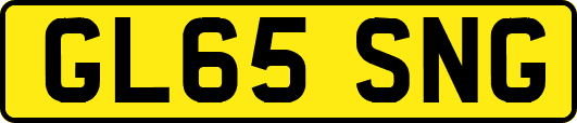 GL65SNG