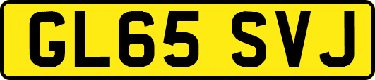 GL65SVJ