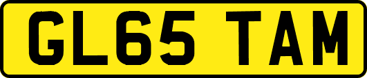 GL65TAM
